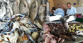 ভূমধ্যসাগর ঘিরে লেবাননে জমজমাট সামুদ্রিক মাছের বাজার